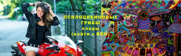 круглые Алзамай