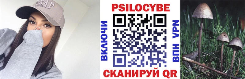 где продают   Чебоксары  Галлюциногенные грибы ЛСД 